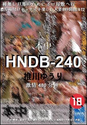 HNDB-240