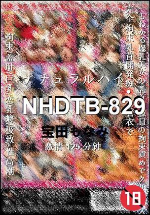 NHDTB-829