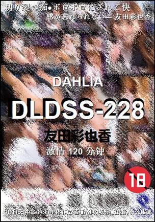 DLDSS-228����
