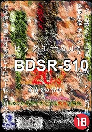 BDSR-510����