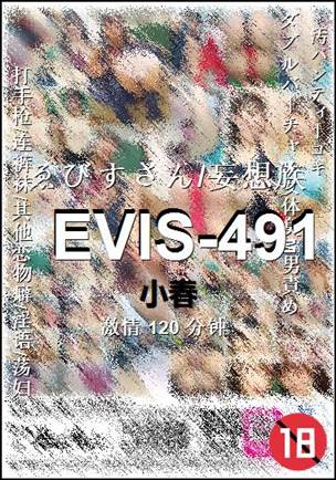 EVIS-491����