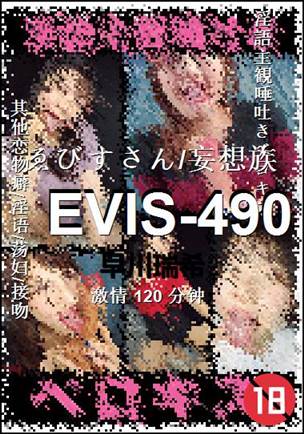 EVIS-490����