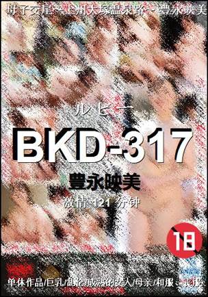 BKD-317����