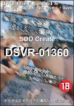 DSVR-01360����