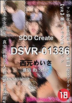 DSVR-01336����