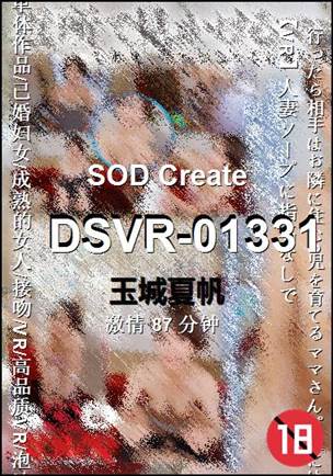 DSVR-01331����