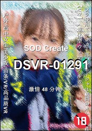 DSVR-01291����