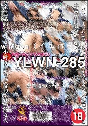YLWN-285种子