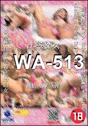 WA-513种子