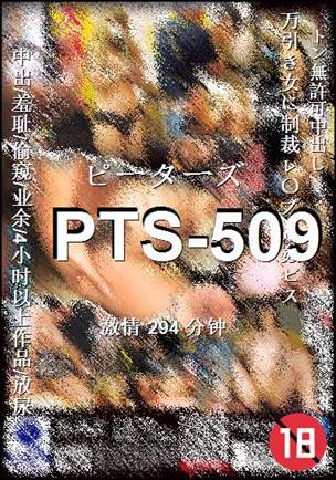 PTS-509����