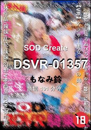 DSVR-01357����