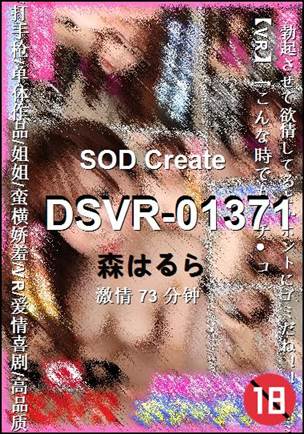 DSVR-01371����