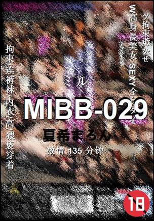 MIBB-029