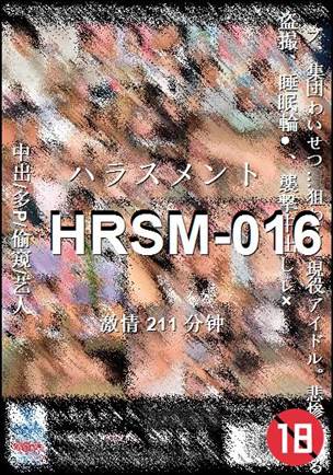 HRSM-016