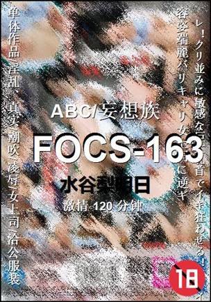 FOCS-163����