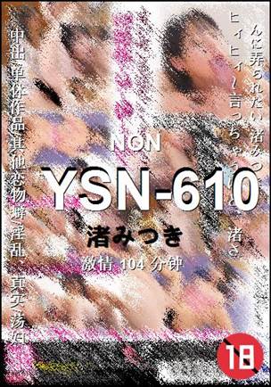 YSN-610