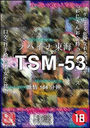 TSM-53