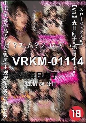 VRKM-01114