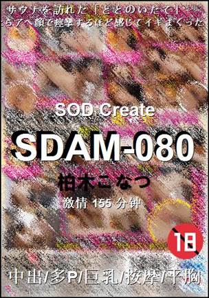 SDAM-080种子