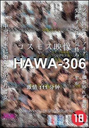 HAWA-306