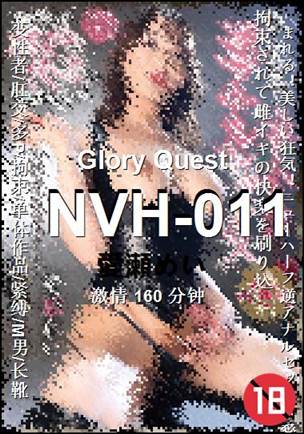 NVH-011����