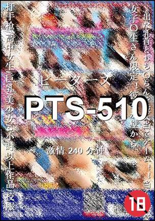 PTS-510