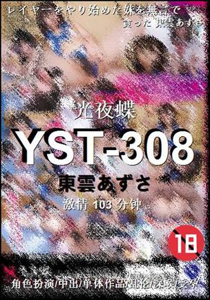 YST-308