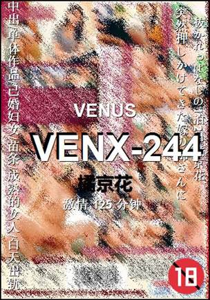 VENX-244种子