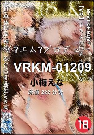 VRKM-01209种子