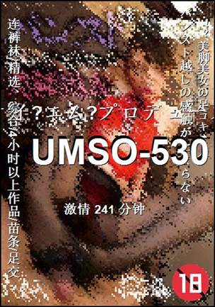 UMSO-530����