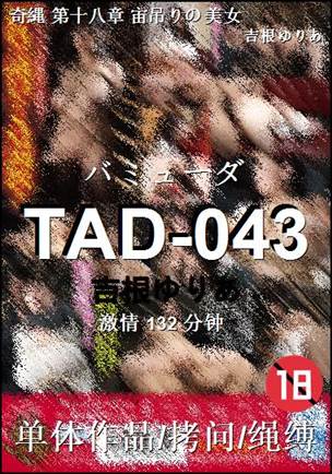 TAD-043����