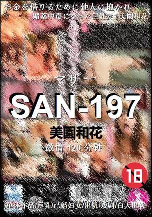SAN-197种子