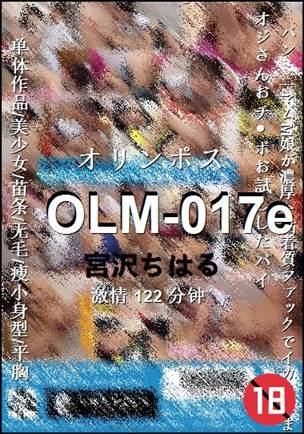 OLM-017e