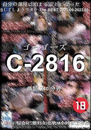 C-2816����