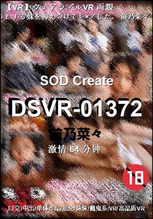 DSVR-01372����