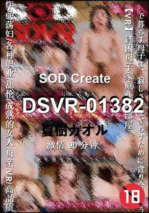 DSVR-01382����
