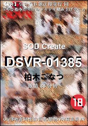 DSVR-01385����