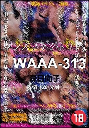 WAAA-313种子