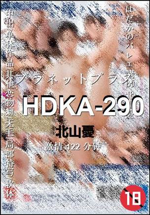 HDKA-290种子