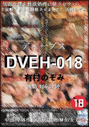 DVEH-018����