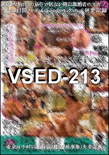 VSED-213