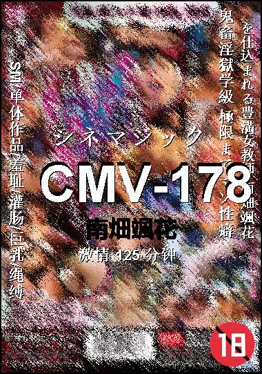 CMV-178种子