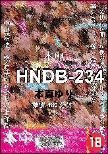 HNDB-234