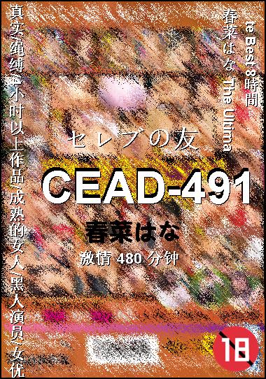 CEAD-491种子
