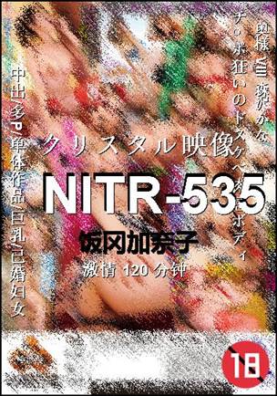 NITR-535种子