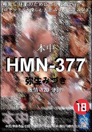 HMN-377种子