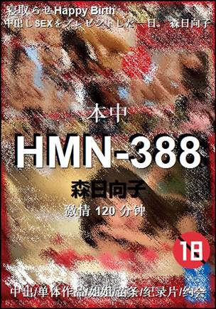 HMN-388种子