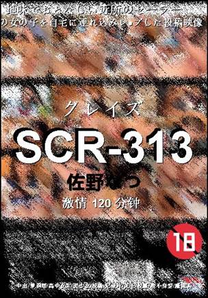 SCR-313