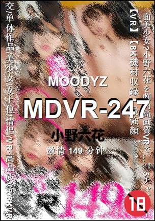 MDVR-247����