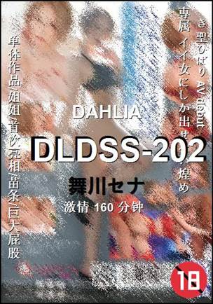 DLDSS-202����
